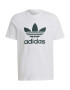 ADIDAS ORIGINALS Μπλουζάκι σμαραγδί / λευκό - Pepit.gr