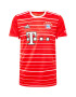 ADIDAS SPORTSWEAR Αθλητική φανέλα 'FC Bayern München' μπλε / κόκκινο / μαύρο / λευκό - Pepit.gr