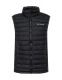 COLUMBIA Αθλητικό γιλέκο 'Powder Lite Vest' γραφίτης - Pepit.gr