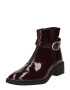 Dorothy Perkins Ankle boots χρυσό / βουργουνδί - Pepit.gr