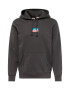 LEVI'S Μπλούζα φούτερ 'STANDARD GRAPHIC HOODIE MULTI-COLOR' αζούρ / ανοικτό κόκκινο / μαύρο / λευκό - Pepit.gr