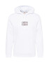 LEVI'S Μπλούζα φούτερ 'LSE_T3 GRAPHIC HOODIE NEUTRALS' γκρι / βερικοκί / λευκό - Pepit.gr