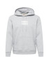 LEVI'S Μπλούζα φούτερ 'LSE_T3 GRAPHIC HOODIE GREYS' γκρι μελανζέ / λευκό - Pepit.gr