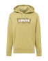 LEVI'S Μπλούζα φούτερ 'STANDARD GRAPHIC HOODIE NEUTRALS' λαδί / καλάμι / λευκό - Pepit.gr