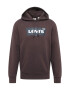 LEVI'S Μπλούζα φούτερ 'STANDARD GRAPHIC HOODIE MULTI-COLOR' μπλε μαρέν / σκούρο καφέ / λευκό - Pepit.gr