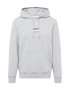 LEVI'S Μπλούζα φούτερ 'STANDARD GRAPHIC HOODIE MULTI-COLOR' μπλε / γκρι μελανζέ / κόκκινο / λευκό - Pepit.gr