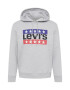 LEVI'S ® Μπλούζα φούτερ 'LSE_T3 GRAPHIC HOODIE GREYS' μπλε / γκρι μελανζέ / κόκκινο / μαύρο - Pepit.gr