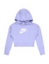 Nike Sportswear Μπλούζα φούτερ ασημόγκριζο / ανοικτό λιλά - Pepit.gr