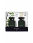 Ipuro Κιτ διάχυσης αρώματος Black Bamboo 2 x 50 ml - Pepit.gr