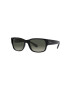 Ray-Ban Γυαλιά ηλίου RB4388 - Pepit.gr