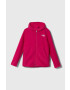 The North Face Παιδική μπλούζα GLACIER F/Z HOODIE - Pepit.gr