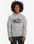 DC Jahmir Kids Sweatshirt Grey - Pepit.gr