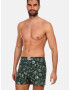 Dedoles Fyzika vs. Chemie Boxer shorts Green - Pepit.gr