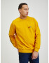 Diesel Girk Sweatshirt Yellow - Pepit.gr