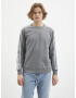 Diesel Willy Sweatshirt Grey - Pepit.gr