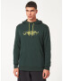 Oakley Sweatshirt Green - Pepit.gr