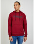 Oakley Sweatshirt Red - Pepit.gr