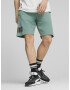 Puma Power Short pants Green - Pepit.gr