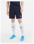 Puma teamGOAL 23 Short pants Blue - Pepit.gr