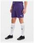 Puma teamGOAL 23 Short pants Violet - Pepit.gr