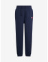 Tommy Jeans Sweatpants Blue - Pepit.gr