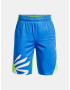 Under Armour B Curry Splash Kids Shorts Blue - Pepit.gr