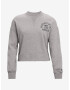 Under Armour Project Rock Sweatshirt Grey - Pepit.gr