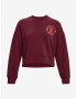 Under Armour Project Rock Sweatshirt Red - Pepit.gr