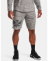 Under Armour Project Rock Terry Short pants Grey - Pepit.gr