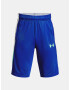 Under Armour UA Baseline Mfo Kids Shorts Blue - Pepit.gr