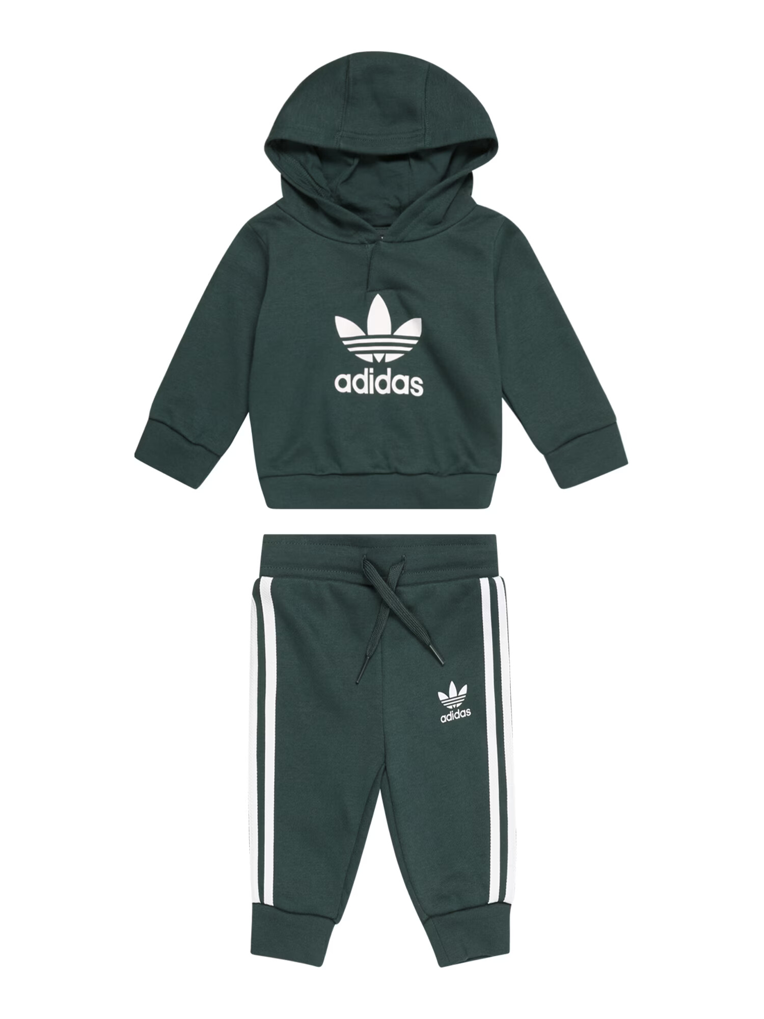 ADIDAS ORIGINALS Φόρμα τρεξίματος 'Adicolor' έλατο / λευκό - Pepit.gr