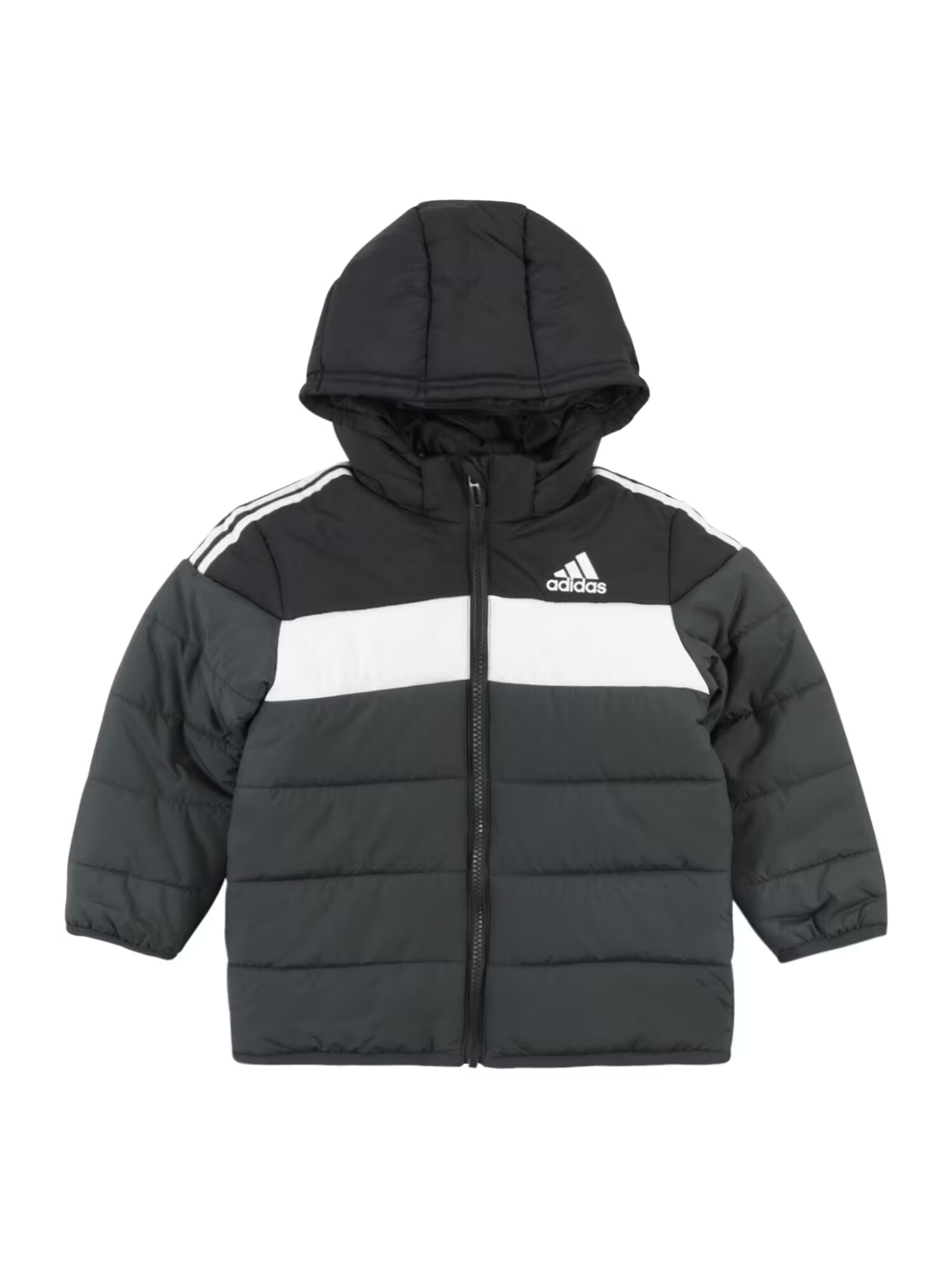 ADIDAS SPORTSWEAR Αθλητικό μπουφάν 'Padded' ανθρακί / μαύρο / λευκό - Pepit.gr