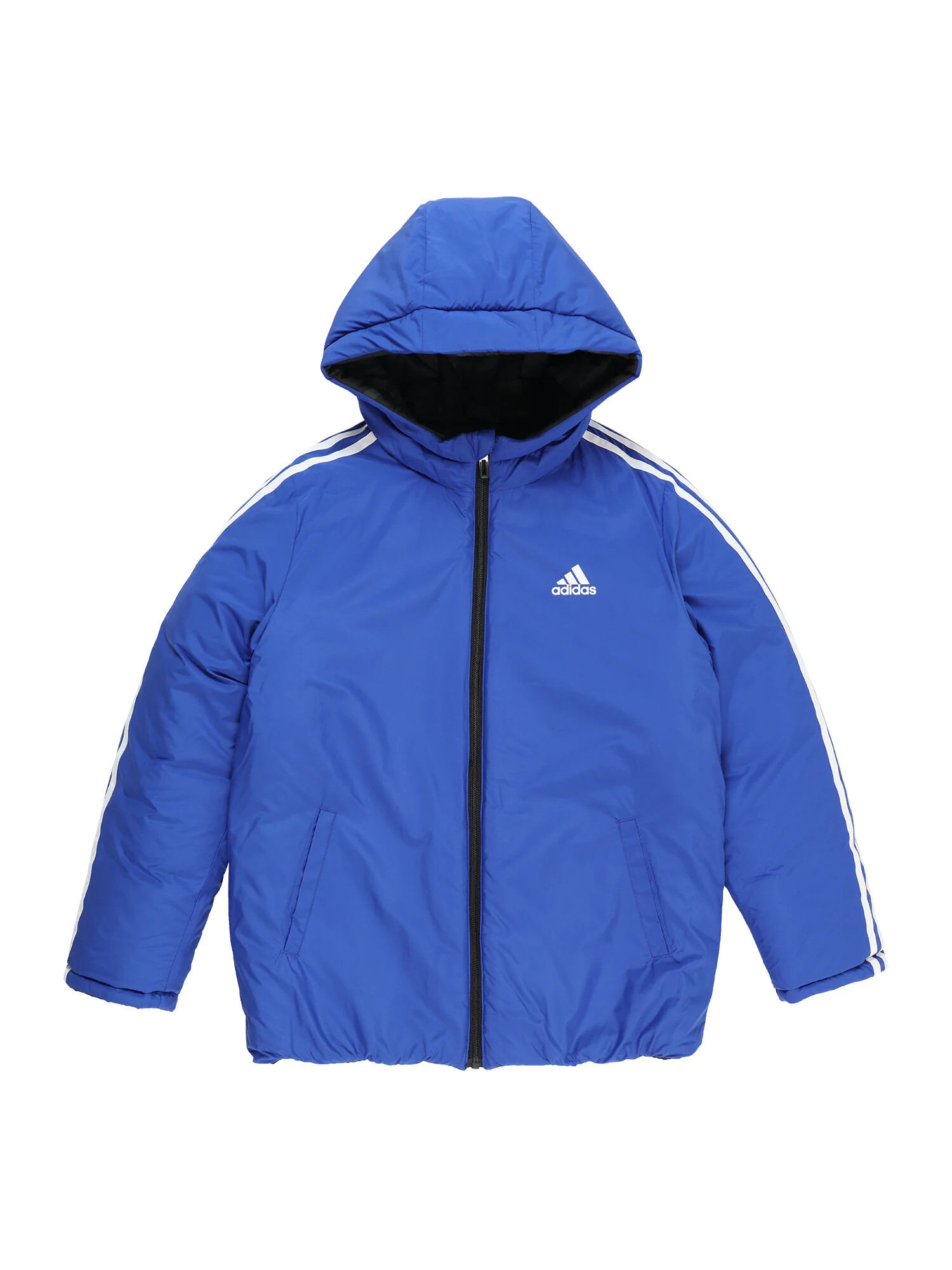 ADIDAS SPORTSWEAR Αθλητικό μπουφάν γκρι / μαύρο / λευκό - Pepit.gr