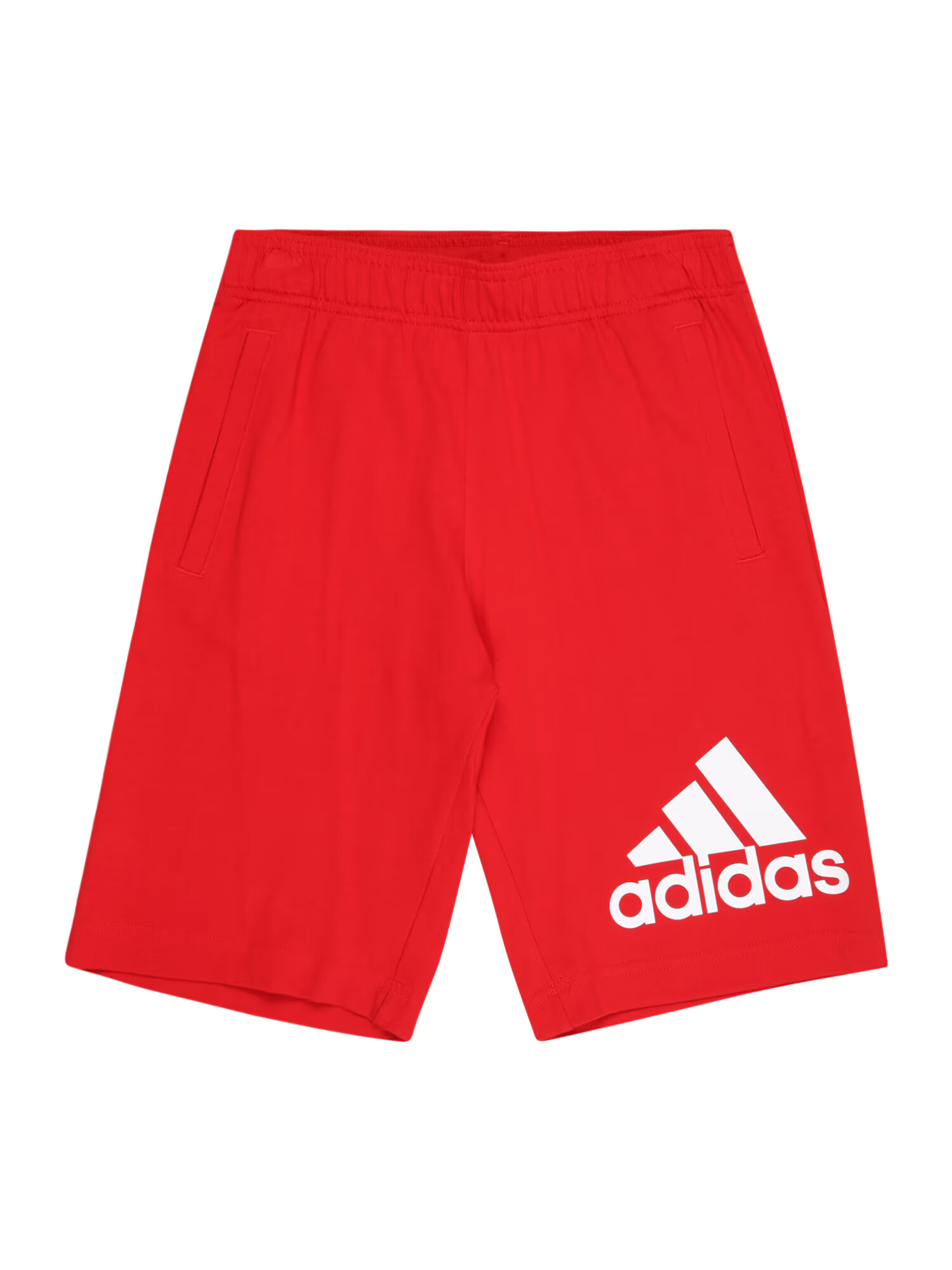 ADIDAS SPORTSWEAR Παντελόνι φόρμας αιματί / λευκό - Pepit.gr