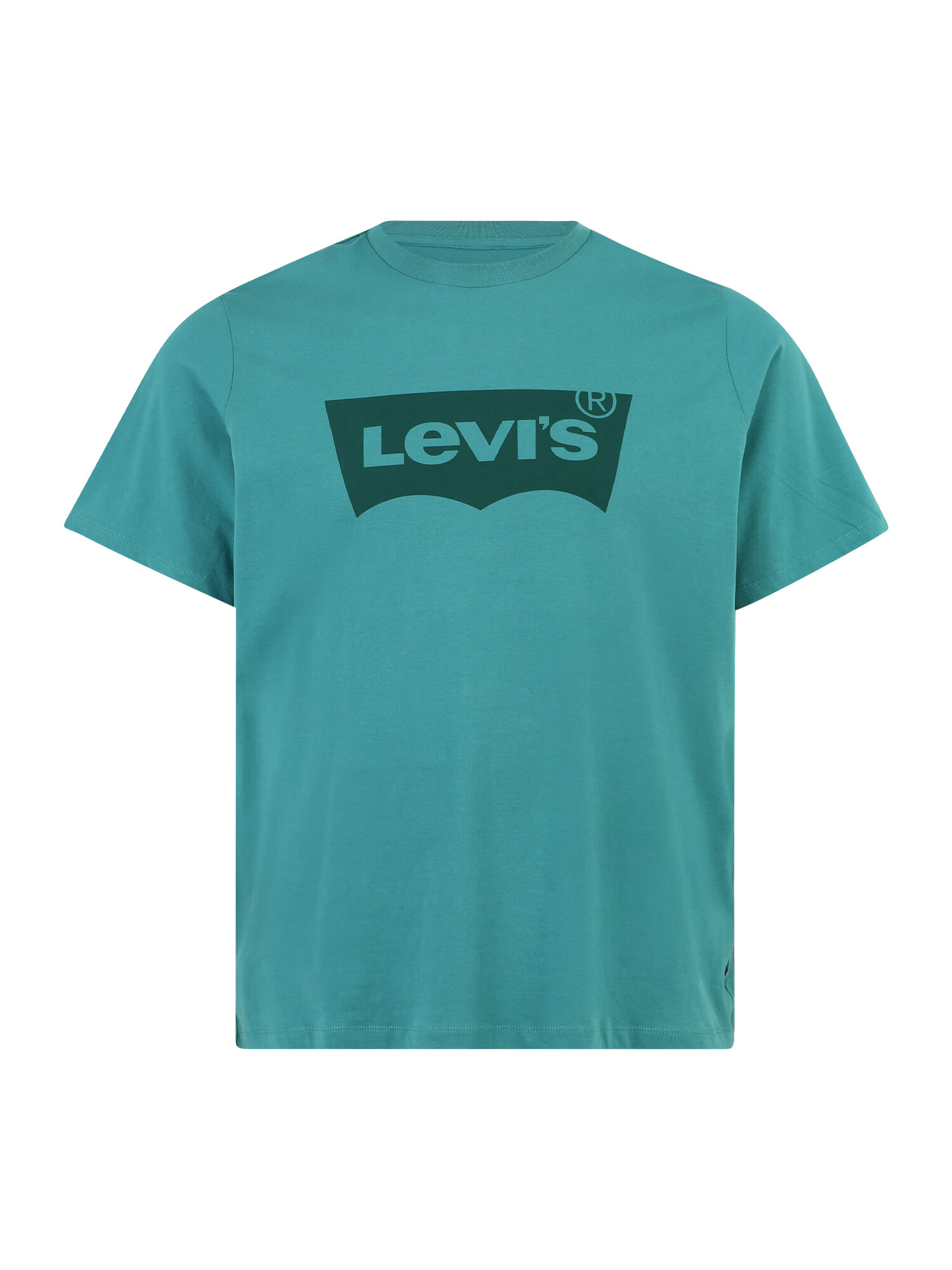 Levi's® Big & Tall Μπλουζάκι γαλαζοπράσινο / έλατο - Pepit.gr