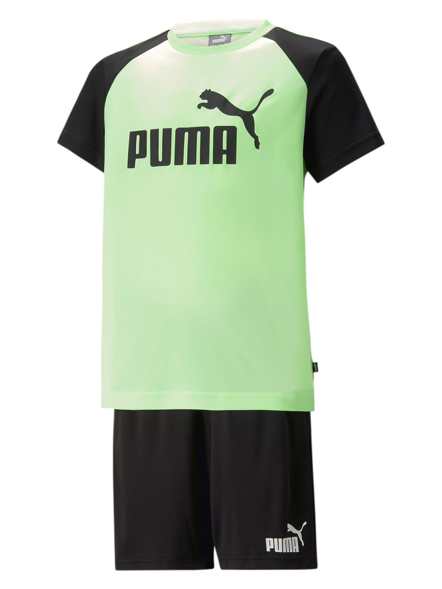 PUMA Φόρμα τρεξίματος ανοικτό πράσινο / μαύρο / λευκό - Pepit.gr