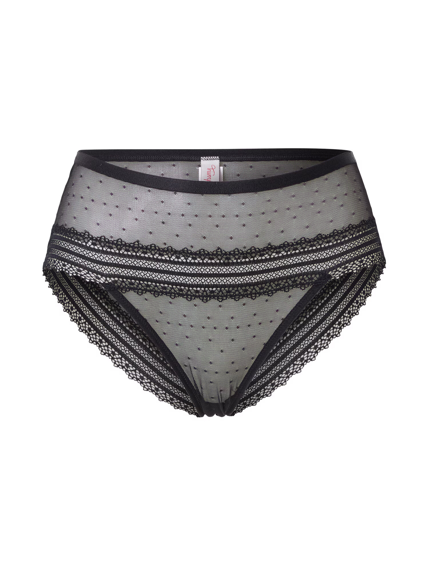 TRIUMPH Σλιπ 'Tempting Tulle_01 Maxi' μαύρο - Pepit.gr