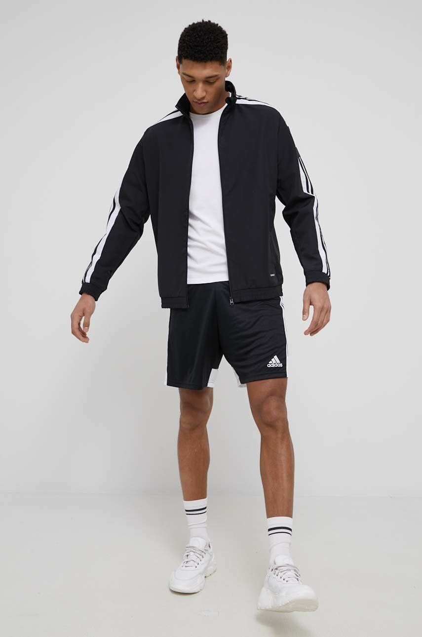 adidas Performance Σορτς προπόνησης - Pepit.gr