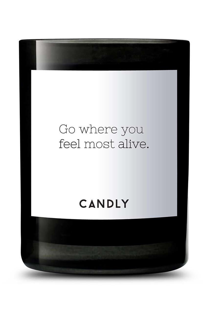 Candly Αρωματικό κερί σόγιας Go where you feel most alive. 250 g - Pepit.gr