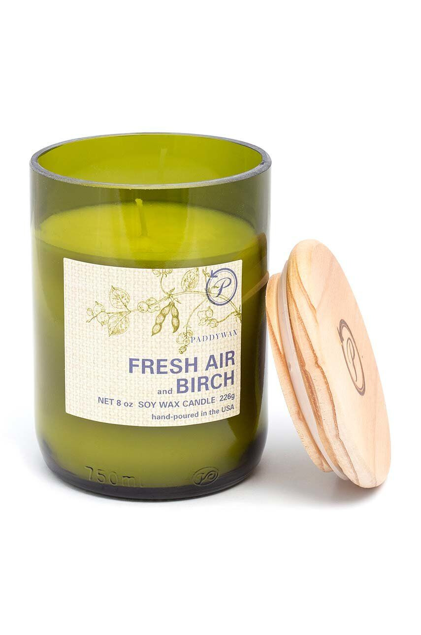 Paddywax Αρωματικό κερί σόγιας Fresh Air & Birch 226 g - Pepit.gr