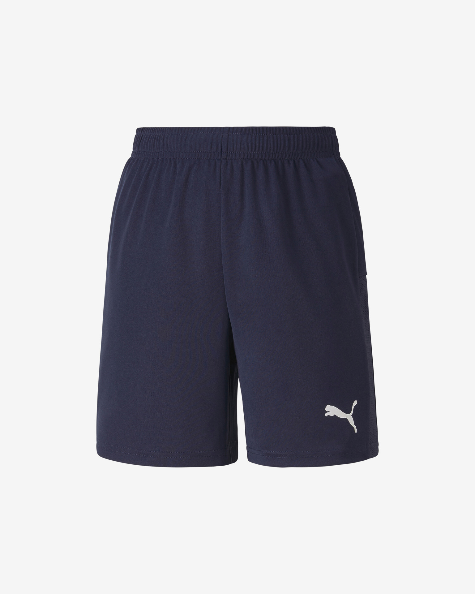 Puma TeamGOAL 23 Kids Shorts Blue - Pepit.gr