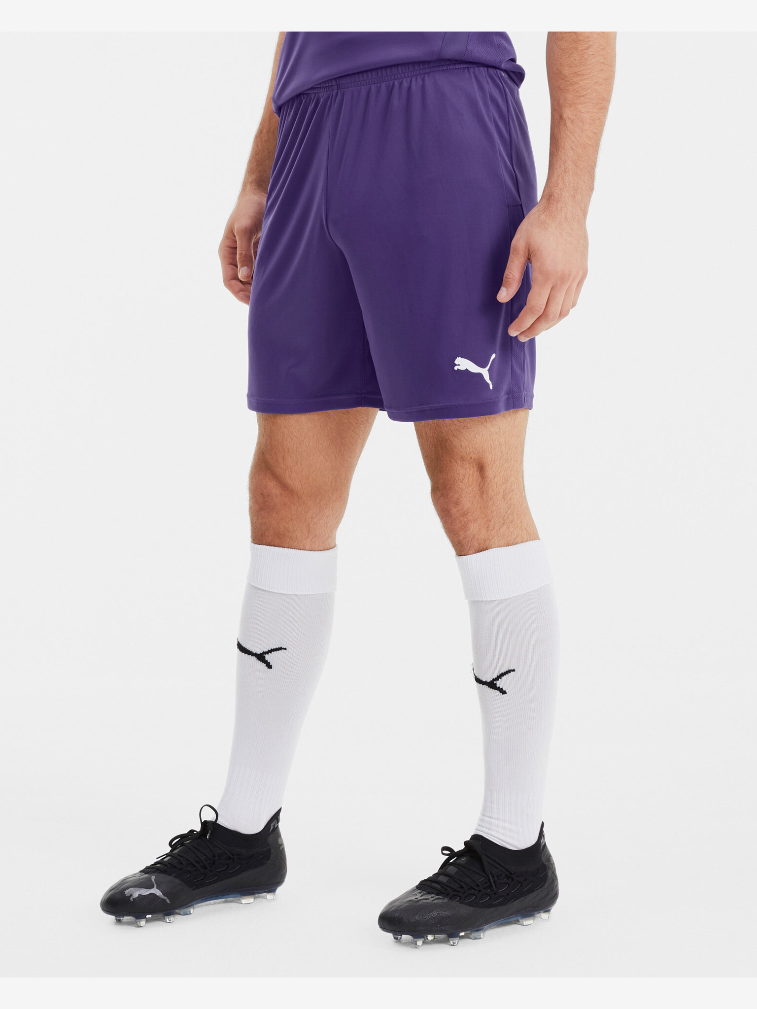 Puma teamGOAL 23 Short pants Violet - Pepit.gr